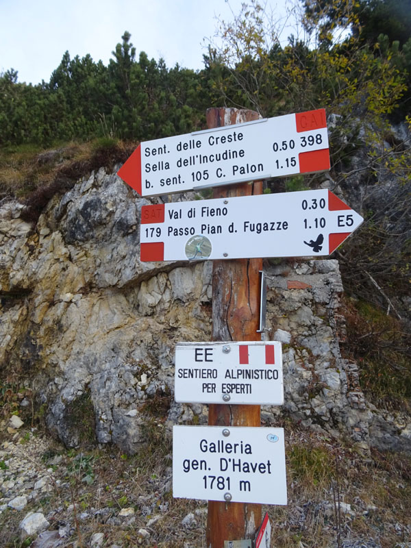 Cima Paln -Soglio dell'' Incudine.......Pasubio